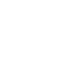 ParseStream Logo